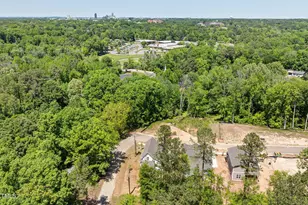 1005 Forrestal Place, Durham, NC 27707 - Photo 60