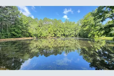 2229 Lizard Lick Road, Zebulon, NC 27597 - Photo 46