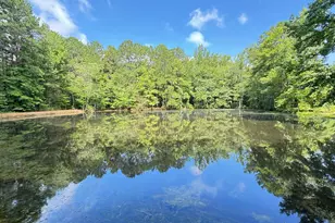 2229 Lizard Lick Rd, Zebulon, NC 27597 - Photo 46