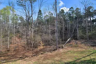 90 Ferncrest Ct, Roxboro, NC 27574 - Photo 38