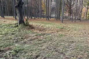 1302 Rocky Ford Rd, Louisburg, NC 27549 - Photo 20