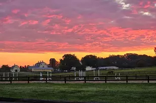 418 Quail Roost Farm Rd, Rougemont, NC 27572 - Photo 8