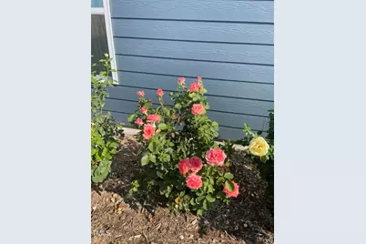 154 Gobbler Hill Trail, Willow Springs, NC 27592 - Photo 30