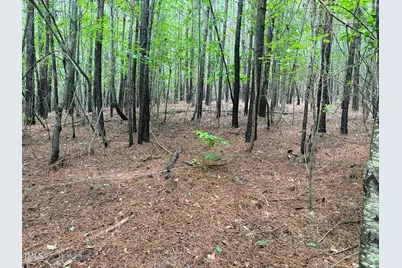 00 Rock Quarry Road, Pelham, NC 27311 - Photo 32