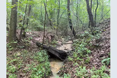 00 Rock Quarry Road, Pelham, NC 27311 - Photo 28