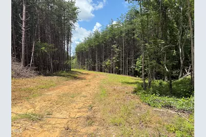 00 Rock Quarry Road, Pelham, NC 27311 - Photo 30