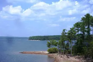 72 Brown Bear, Chapel Hill, NC 27517 - Photo 14