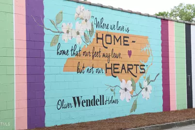 257 Douglas Falls Drive, Wendell, NC 27591 - Photo 32