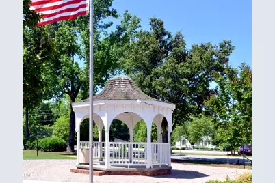 257 Douglas Falls Drive, Wendell, NC 27591 - Photo 30