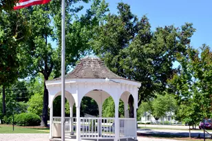 257 Douglas Falls Dr, Wendell, NC 27591 - Photo 30