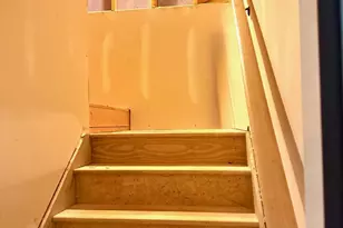 109 Willow View Ln, Apex, NC 27539 - Photo 32