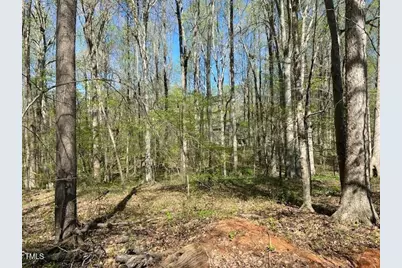 1455 Dimmocks Mill Road, Hillsborough, NC 27278 - Photo 10