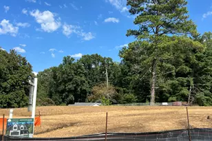 2534 Vining Br Wy, Apex, NC 27523 - Photo 18