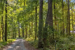 1210 Manco Dairy Rd, Pittsboro, NC 27312 - Photo 98