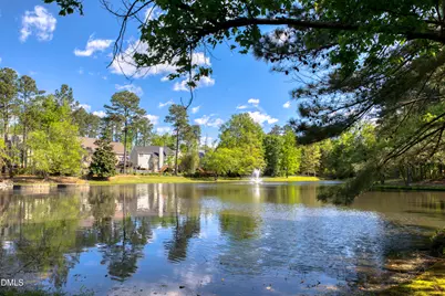 203 Halls Mill Drive, Cary, NC 27519 - Photo 66