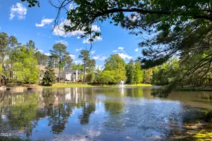 203 Halls Mill Dr, Cary, NC 27519 - Photo 66