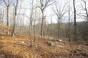 540 Patterson Dr, Chapel Hill, NC 27516 - Photo 48