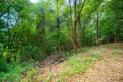 105 Wright Hill Drive, Durham, NC 27712 - Photo 12