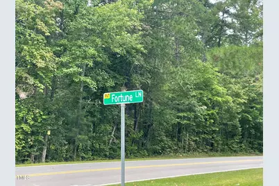 1017 Fortune Lane, Mebane, NC 27302 - Photo 78