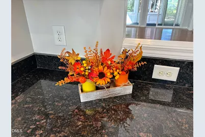 542 Tomkins Loop, Cary, NC 27519 - Photo 24