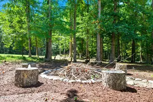 716 Spirit Hl Rd, Hillsborough, NC 27278 - Photo 68