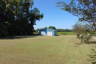 13619 US Hwy 258, Scotland Neck, NC 27874 - Photo 4