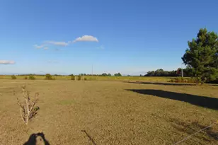 13619 US Hwy 258, Scotland Neck, NC 27874 - Photo 72