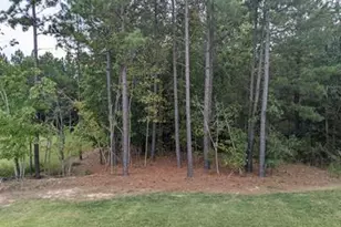 422 Holly Blossom Dr, Durham, NC 27703 - Photo 18