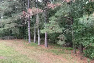 387 N Pleasant Coates Rd, Benson, NC 27504 - Photo 34