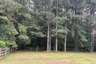 387 N Pleasant Coates Rd, Benson, NC 27504 - Photo 36