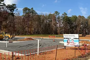 3142 Cathedral Comb Dr, Apex, NC 27502 - Photo 6