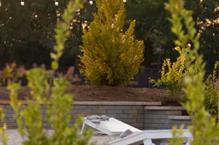 151 Siebold St, Garner, NC 27529 - Photo 58