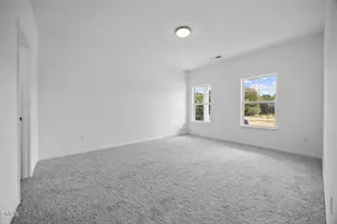 2461 Pleasant Hill Liberty Rd, Liberty, NC 27298 - Photo 6