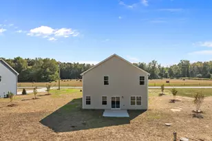 2471 Pleasant Hill Liberty Rd, Liberty, NC 27298 - Photo 44