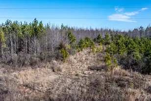 1100 Ben Smith Road Rd, Siler City, NC 27344 - Photo 44