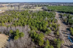 1100 Ben Smith Road Rd, Siler City, NC 27344 - Photo 54