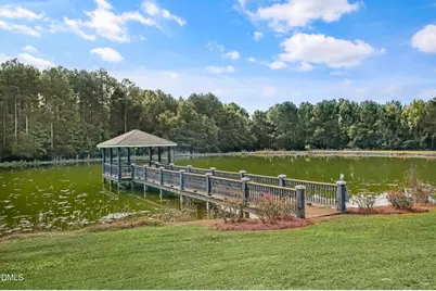 311 Lassiter Road, Four Oaks, NC 27524 - Photo 46