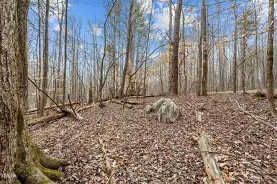 8729 Lot A Allison Road, Cedar Grove, NC 27231 - Photo 18