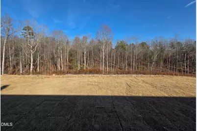 184 Prairie Wolf Street, Sanford, NC 27330 - Photo 4