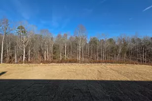 184 Prairie Wolf St, Sanford, NC 27330 - Photo 4