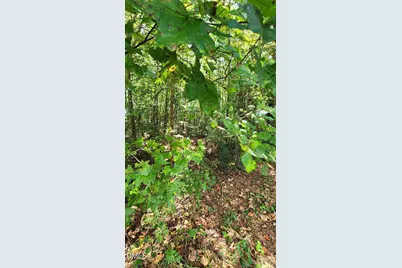 257 Fairhaven Drive, Zebulon, NC 27597 - Photo 6