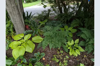 215 E Branch Street E, Spring Hope, NC 27882 - Photo 50