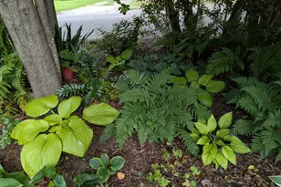 215 E Branch Street E, Spring Hope, NC 27882 - Photo 50