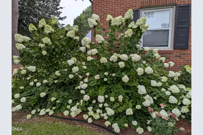 215 E Branch Street E, Spring Hope, NC 27882 - Photo 4