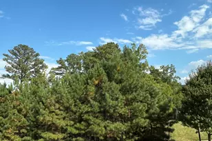 6307 Pesta Ct, Raleigh, NC 27612 - Photo 14