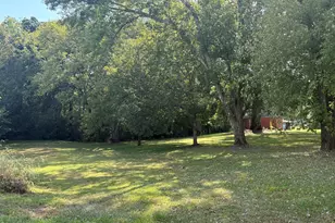 1204 Winfred Brady Rd, Bennett, NC 27208 - Photo 2