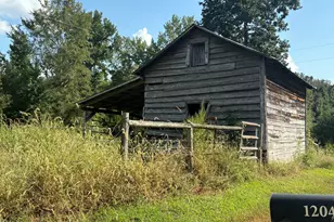 1204 Winfred Brady Rd, Bennett, NC 27208 - Photo 4