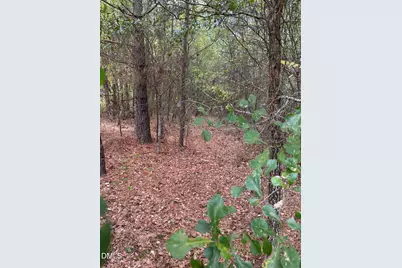 3.6 S Next To 778 Parker Church Road, Raeford, NC 28376 - Photo 22