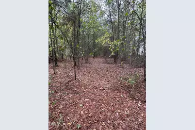 3.6 S Next To 778 Parker Church Road, Raeford, NC 28376 - Photo 4