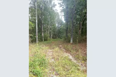 380 Cooper Branch Road, Clayton, NC 27520 - Photo 8